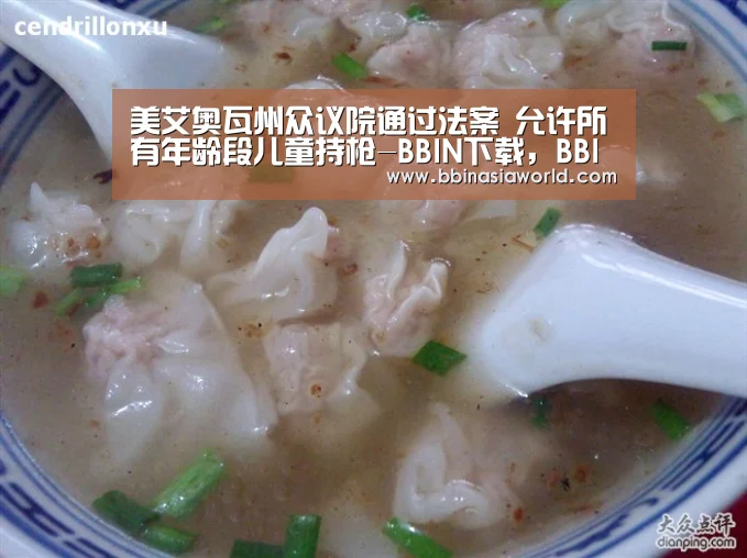 美艾奥瓦州众议院通过法案 允许所有年龄段儿童持枪-BBIN下载,BBIN赛事,BBIN官网,BBIN体育(图2) BBIN下载,BBIN赛事,BBIN官网,BBIN体育